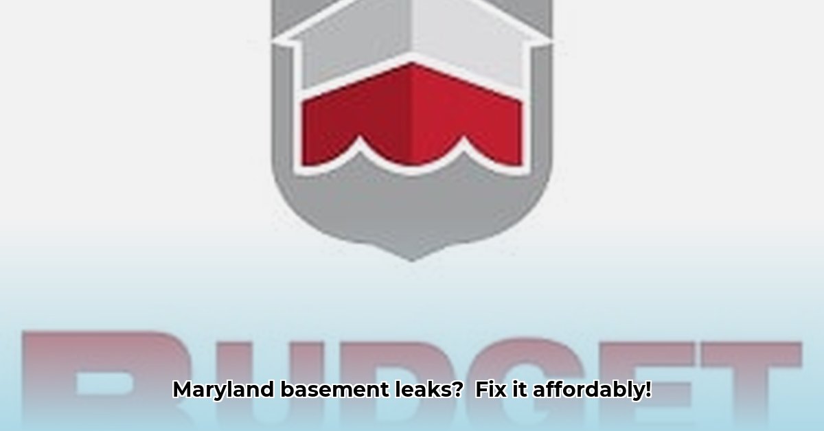 budget-waterproofing-maryland